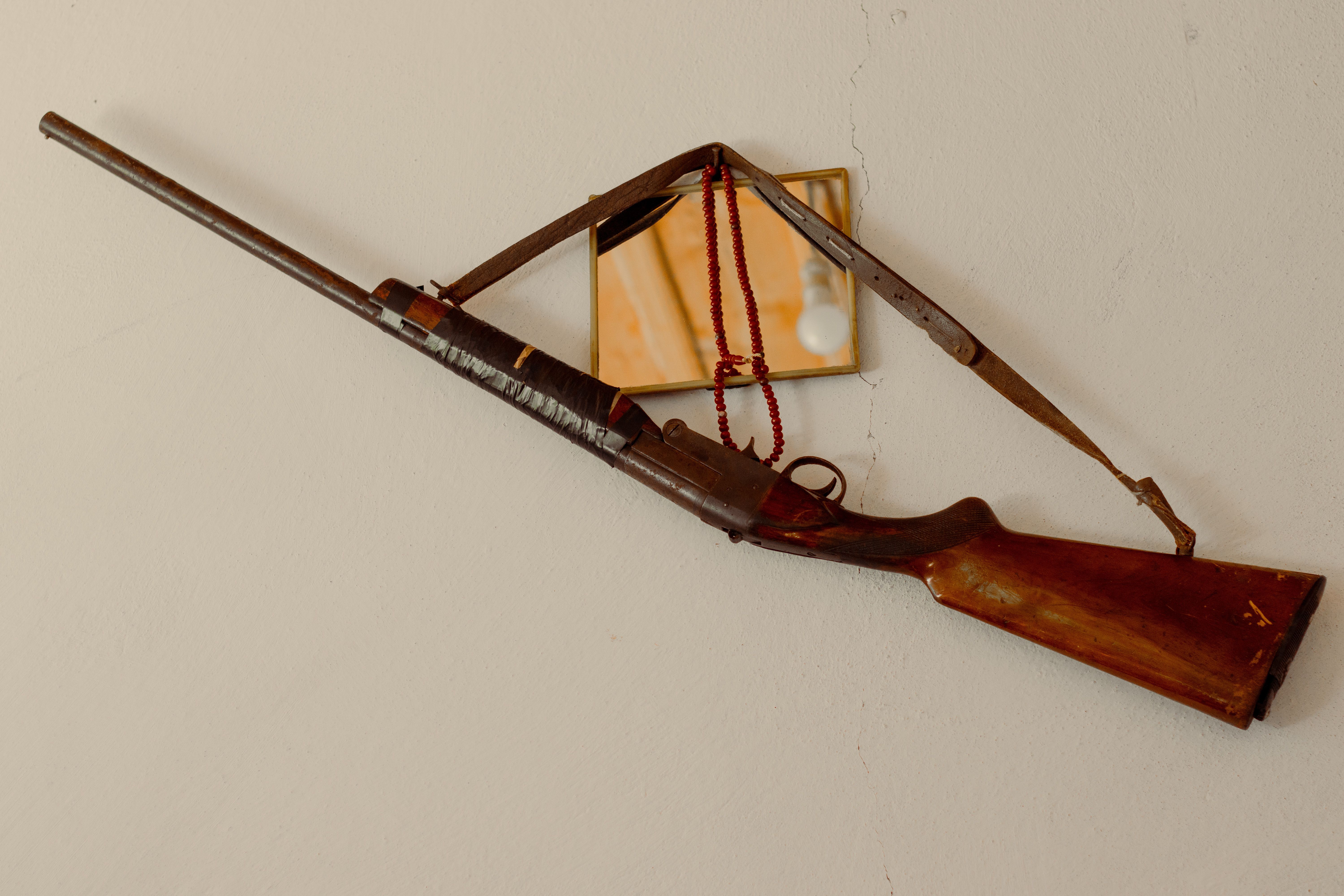 Heritage Coachwhip
