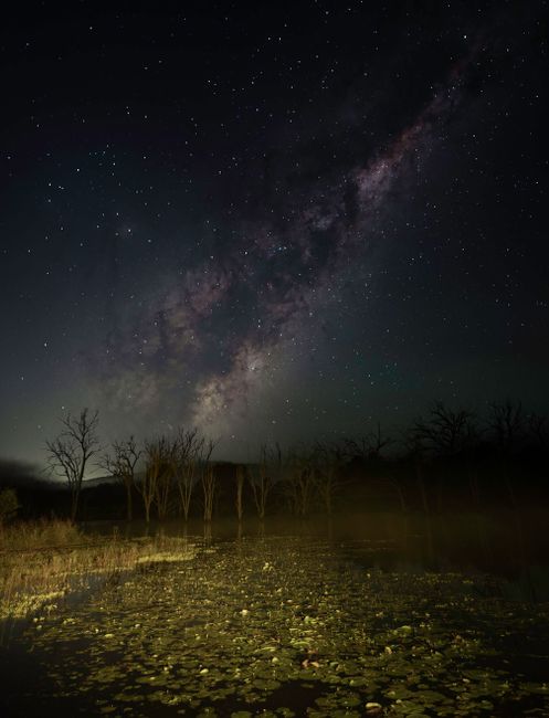 Experience the breathtaking Milky Way over serene wetlands in remote Queensland, Australia.