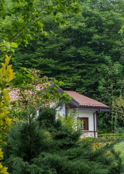 Charming rural house surrounded by green forest near İstanbul, Türkiye.