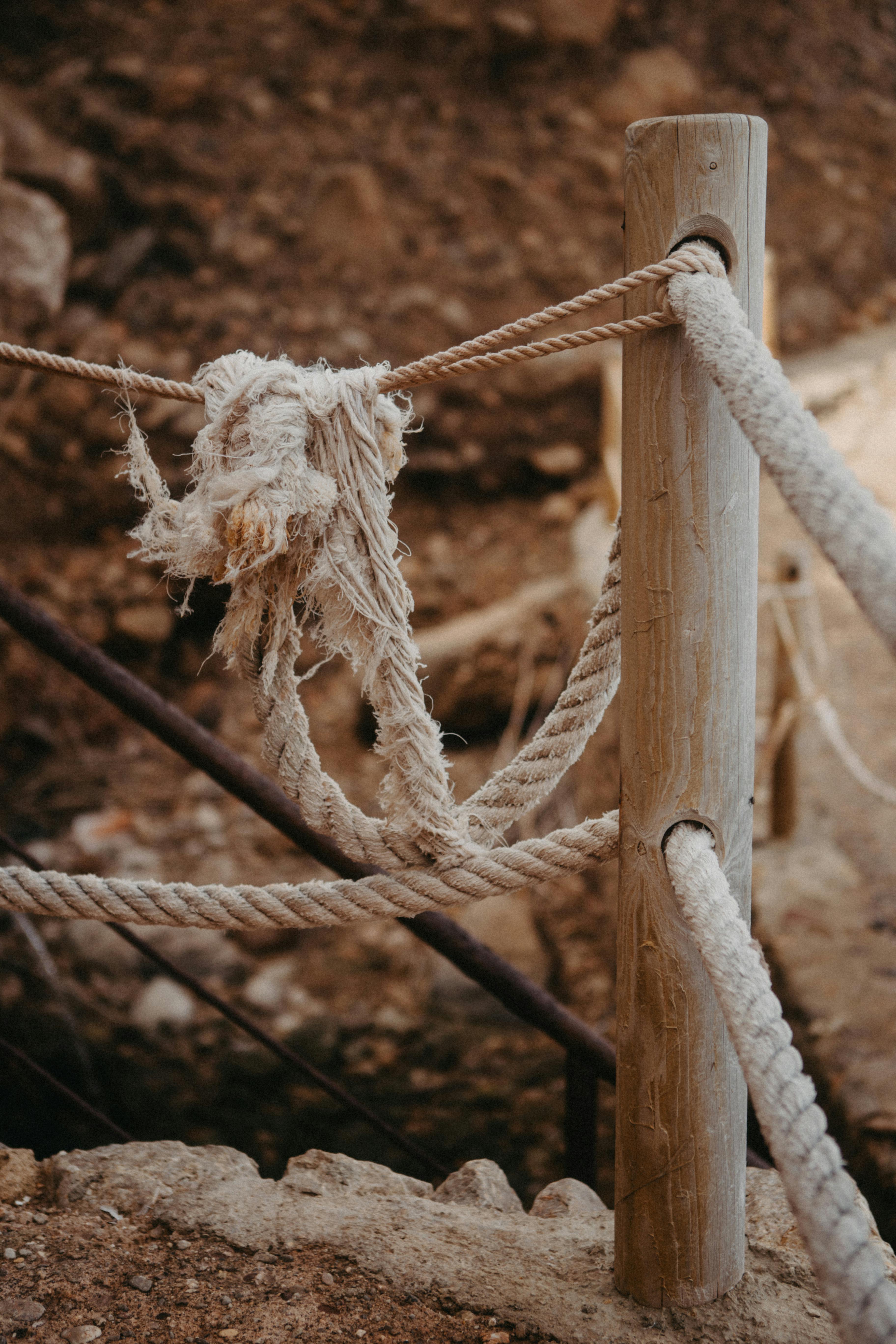 端午加碼大樂透！15組中100萬紅包🎉