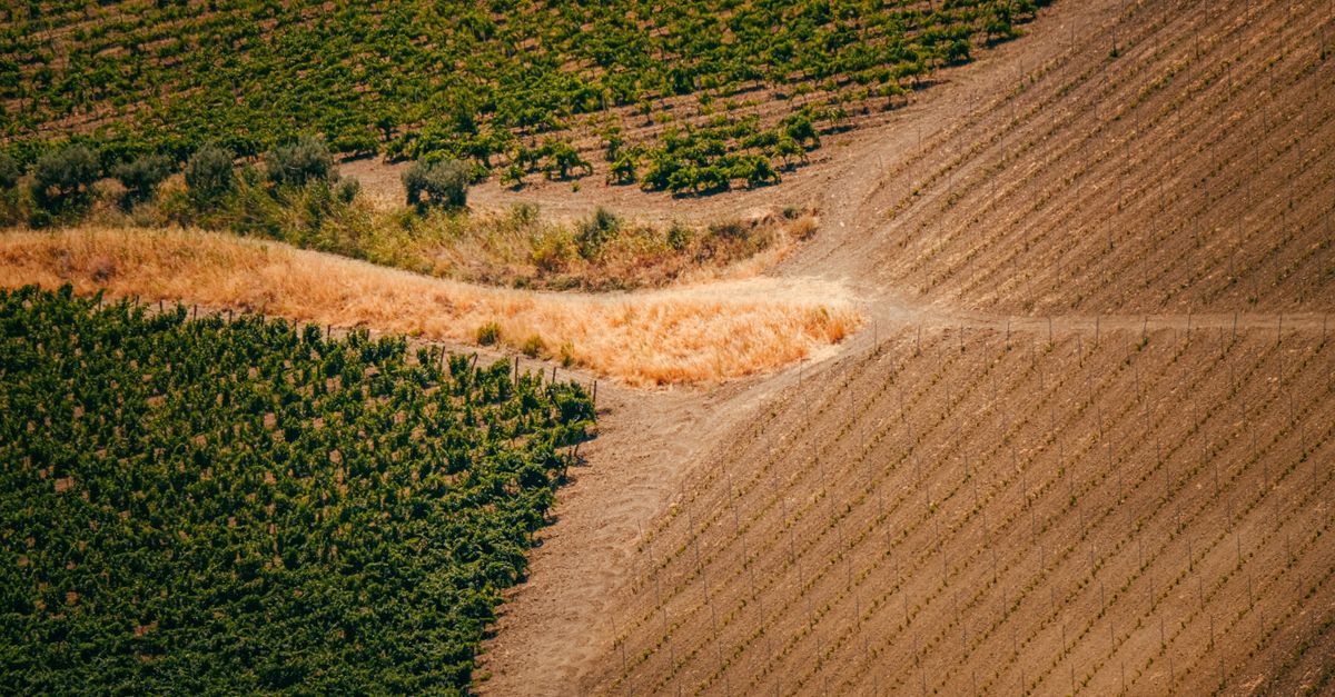 Les bienfaits cachés des produits bio sur l'environnement