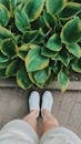 Photo Of Person Standing Beside Green-Leafed Plants
