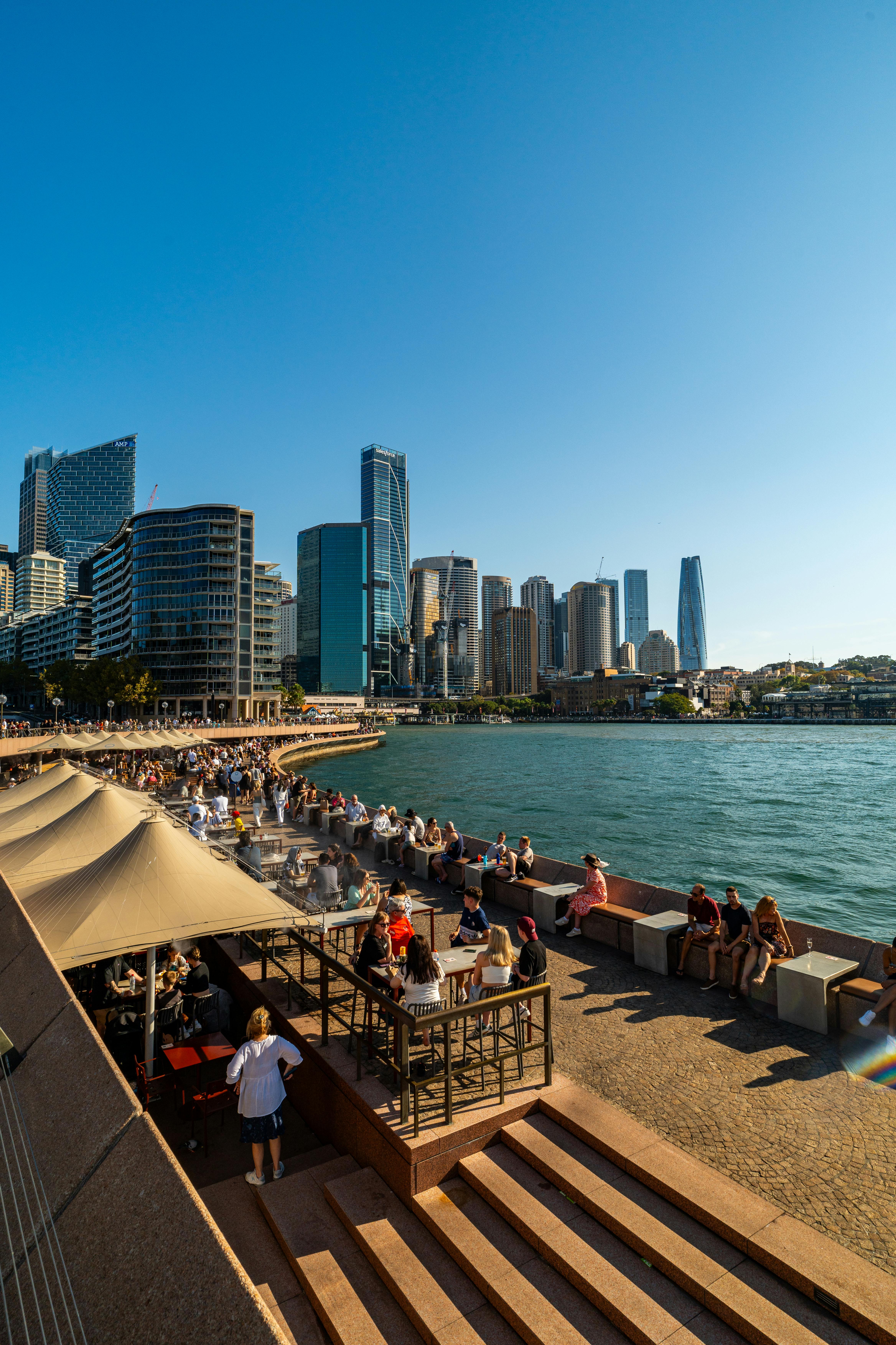Australian East Coaster  - Image 3