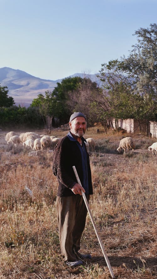 Foto d'estoc gratuïta de a l'aire lliure, adult, agricultura