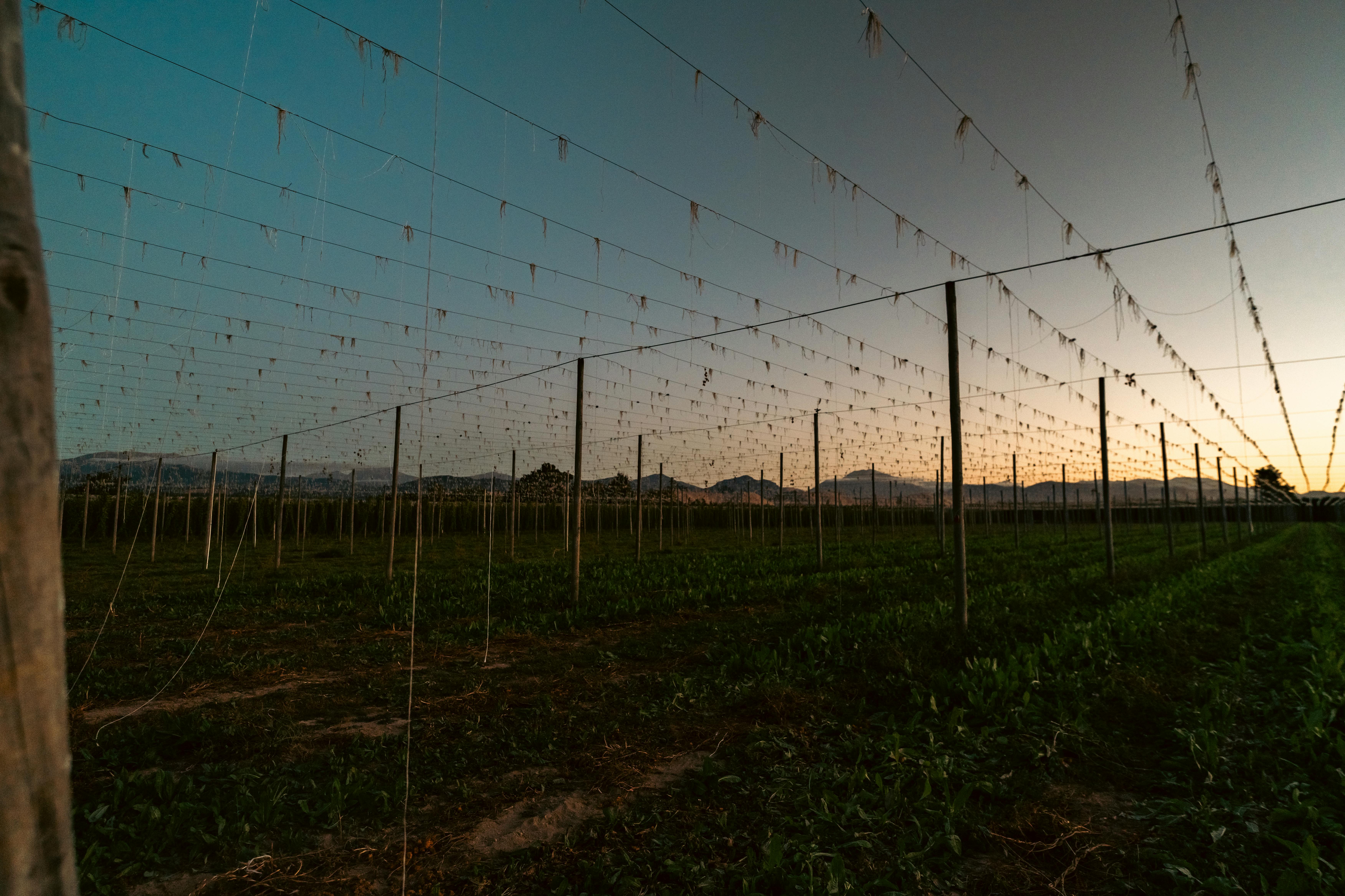 Landmarks in Motueka