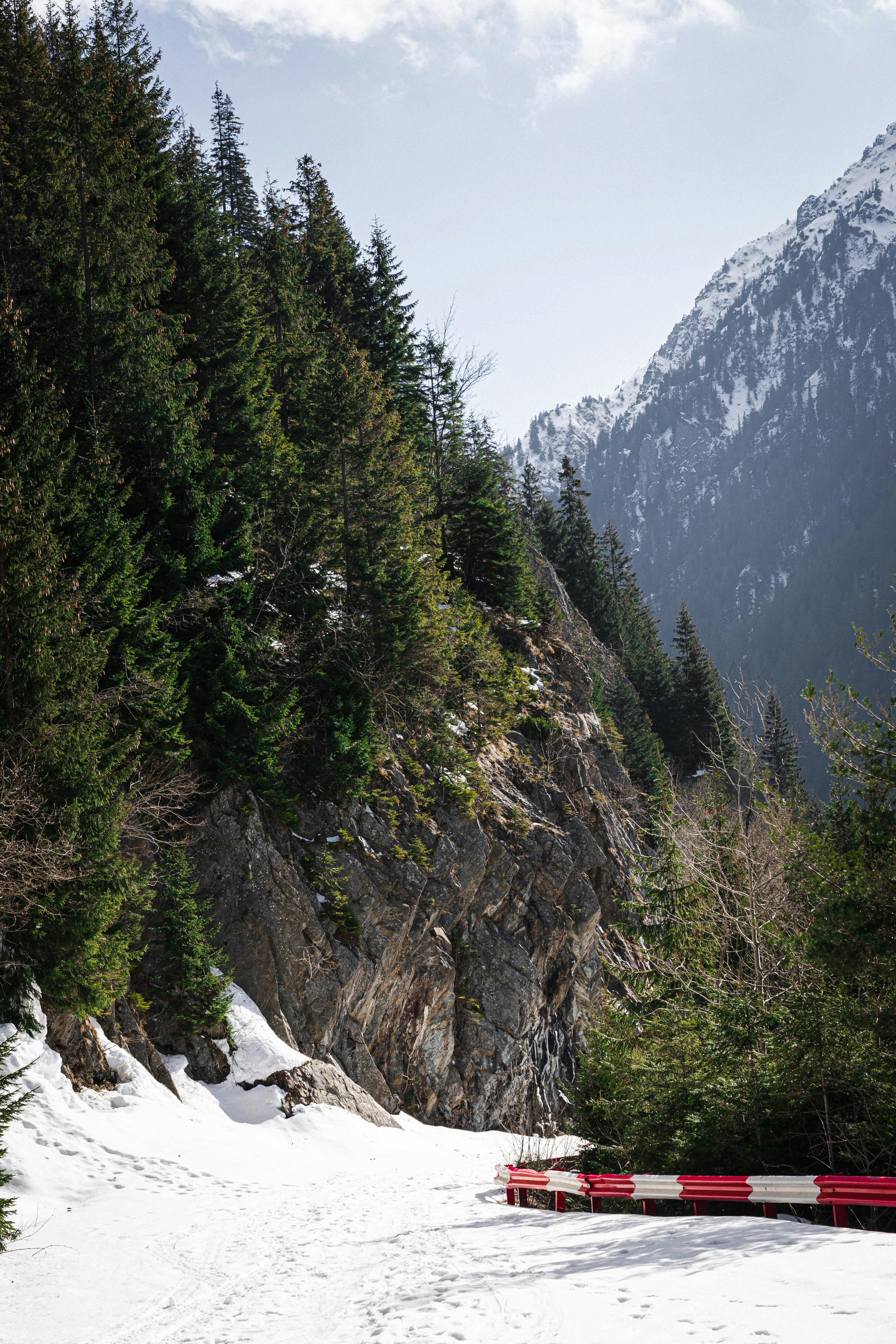 Carpathian Mountains Romania