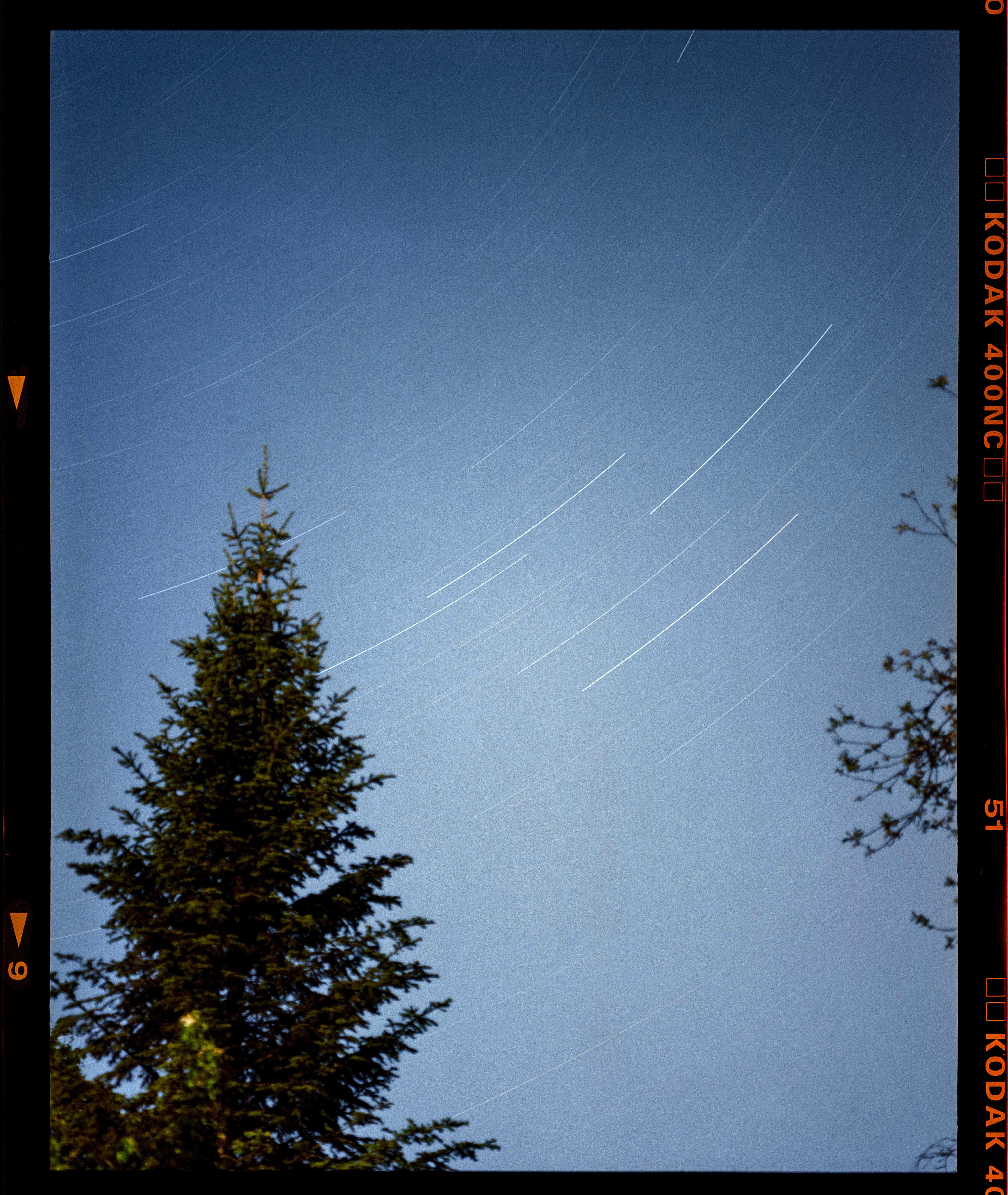 Long exposure capture of star trails over a pine tree, showcasing nighttime beauty.