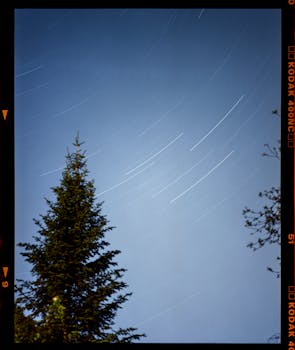 Long exposure capture of star trails over a pine tree, showcasing nighttime beauty.