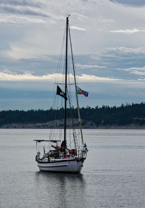 Free A sailboat with a pirate flag navigates the calm waters of Port Townsend, WA. Stock Photo