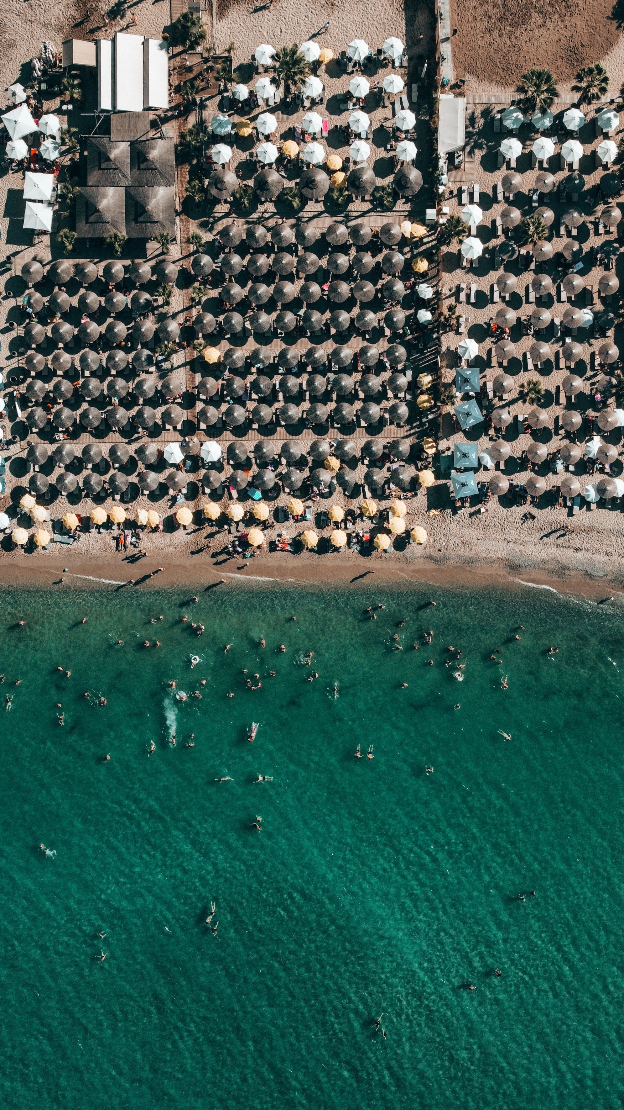 Mediterranean and Caribbean cruise