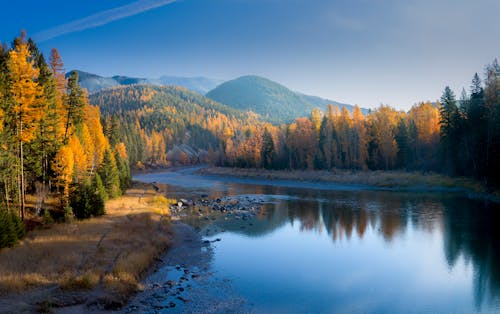 Imagine de stoc gratuită din apă curgătoare, arbori, în aer liber