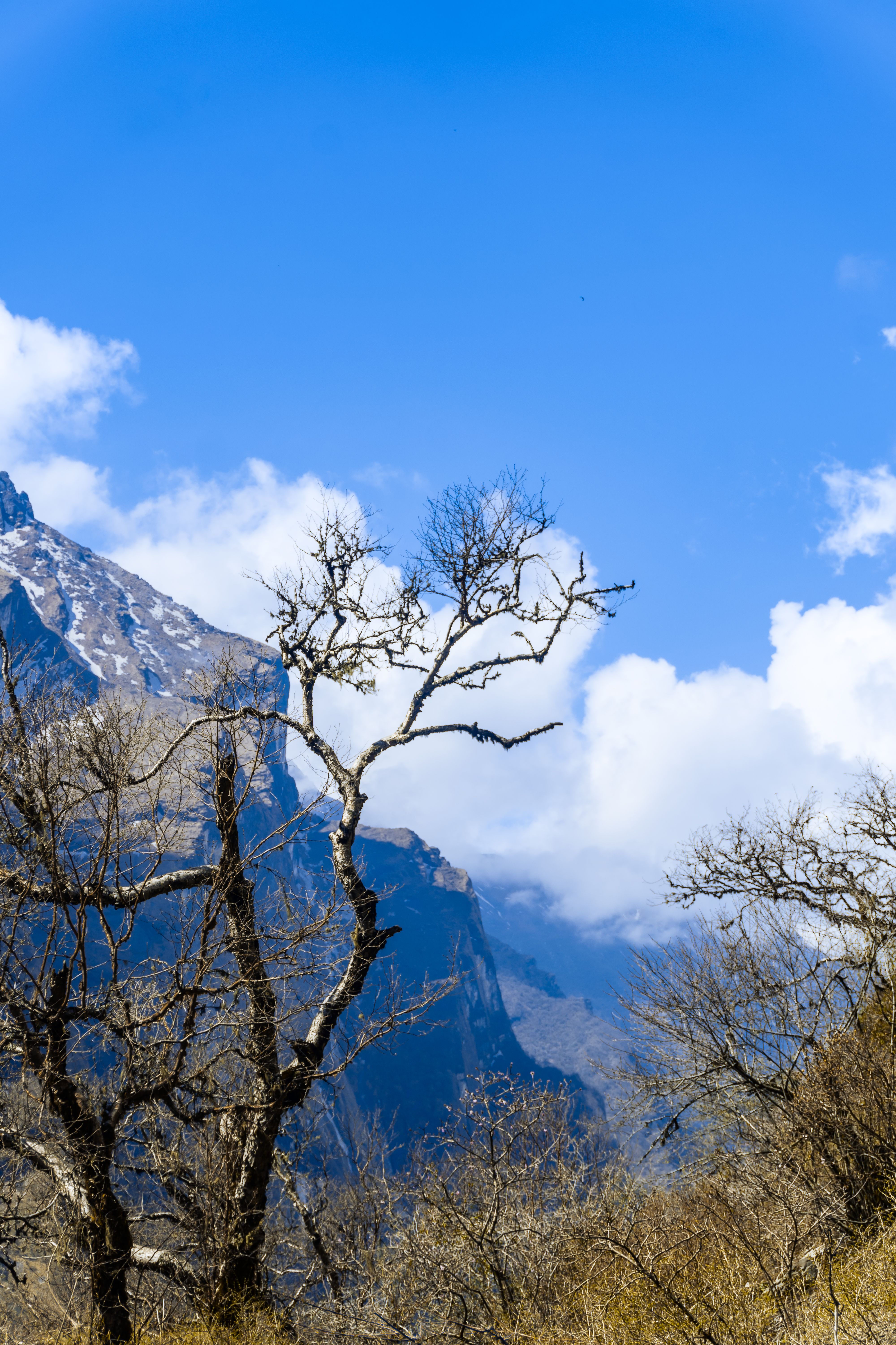 Himalayas in Autumn · Free Stock Photo