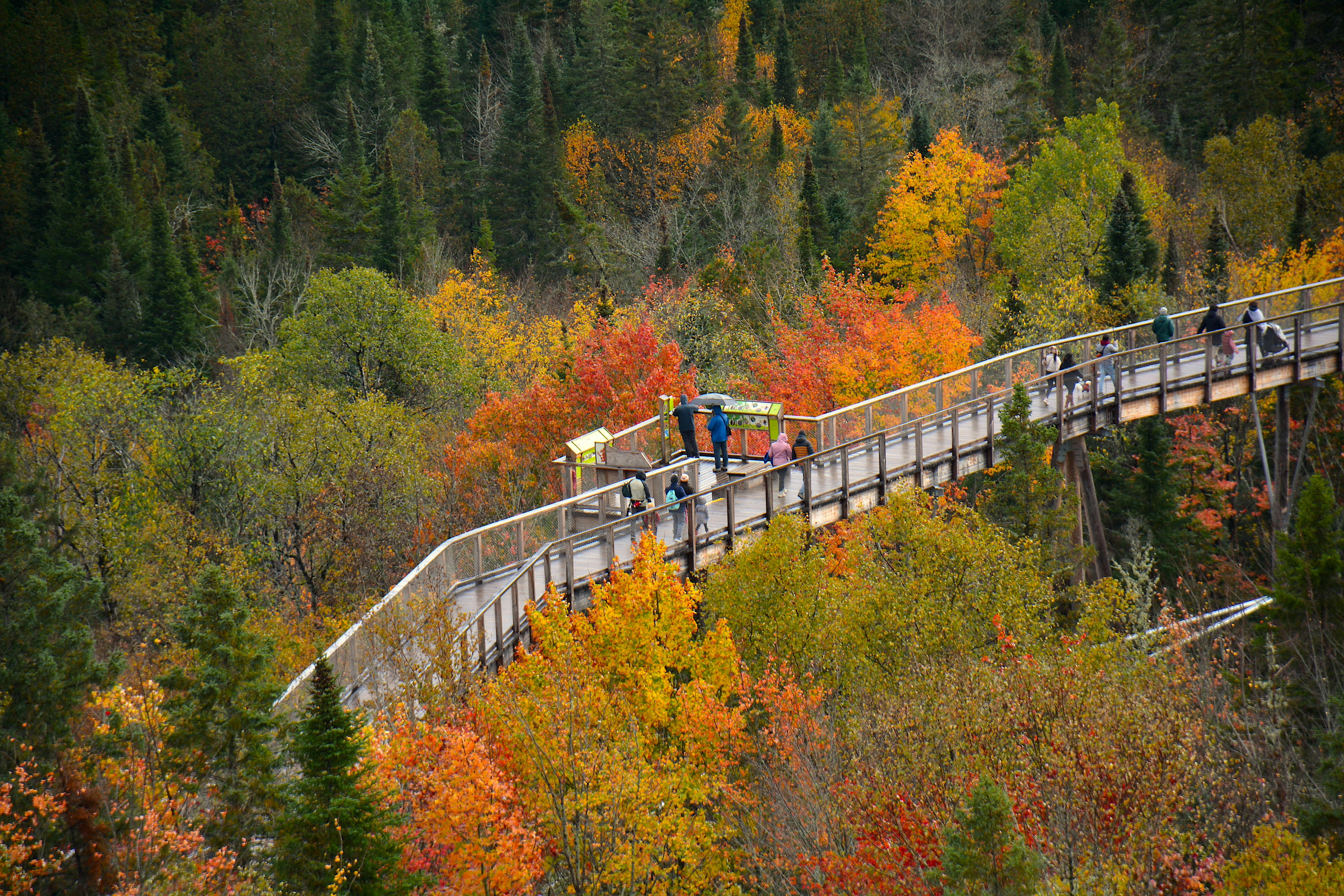 25 Conseils d'Experts pour Maîtriser Voyage Groupe en 2026