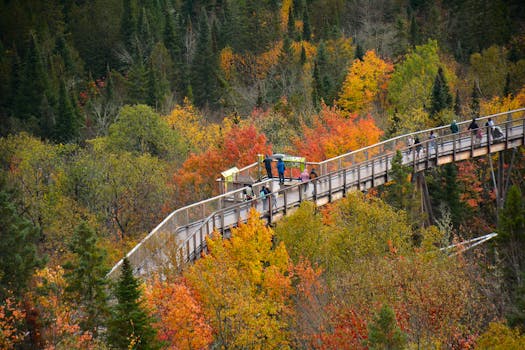 Tourists enjoying a treetop walkway amidst vibrant autumn foliage in Montreal, Canada.