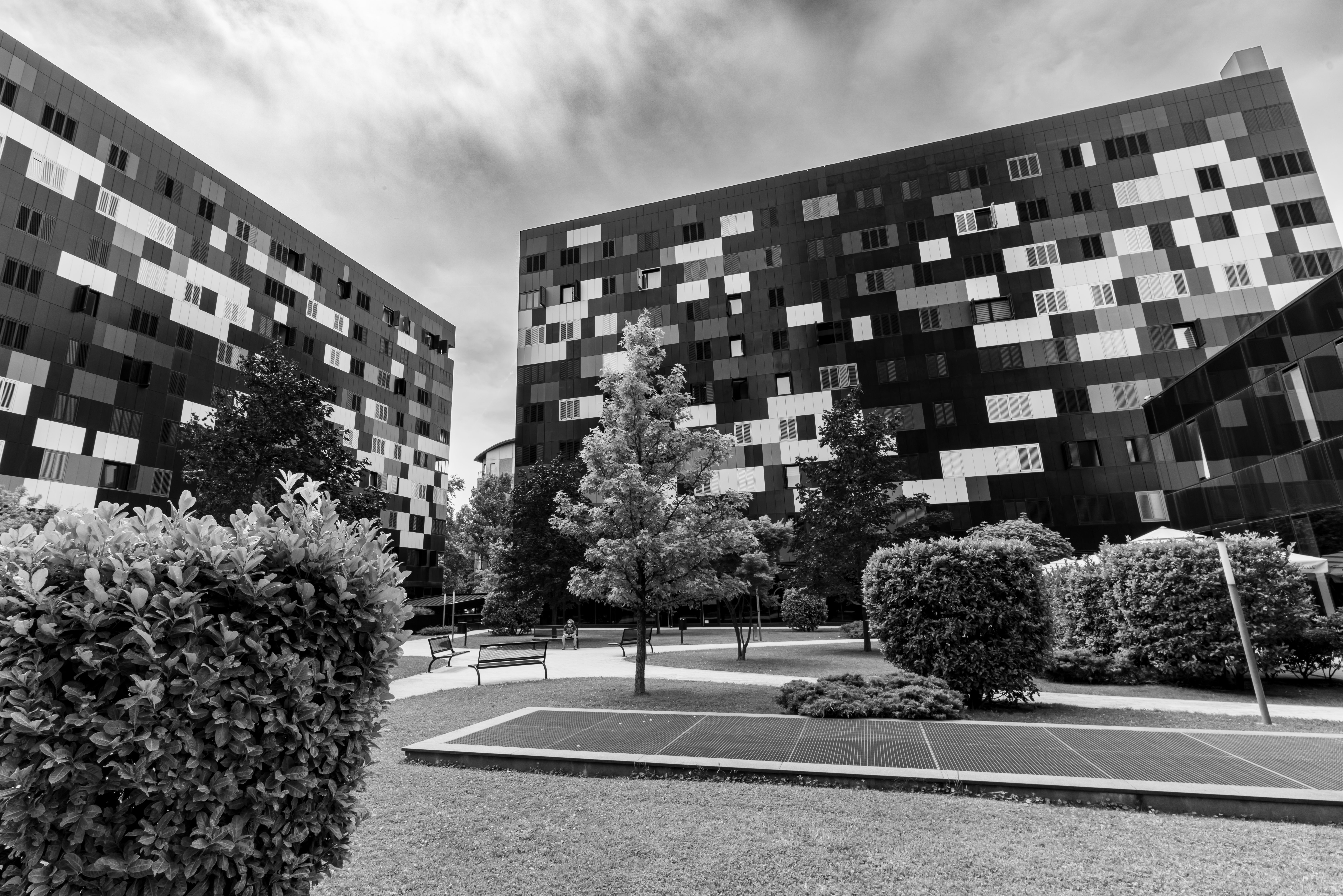 Warnham — student move with boxes and a van