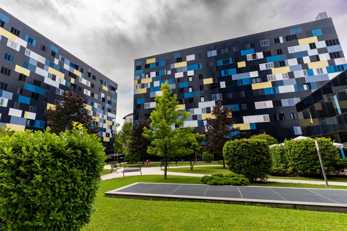 student moves in Wem — Student Moves in Wem — the working end of the job