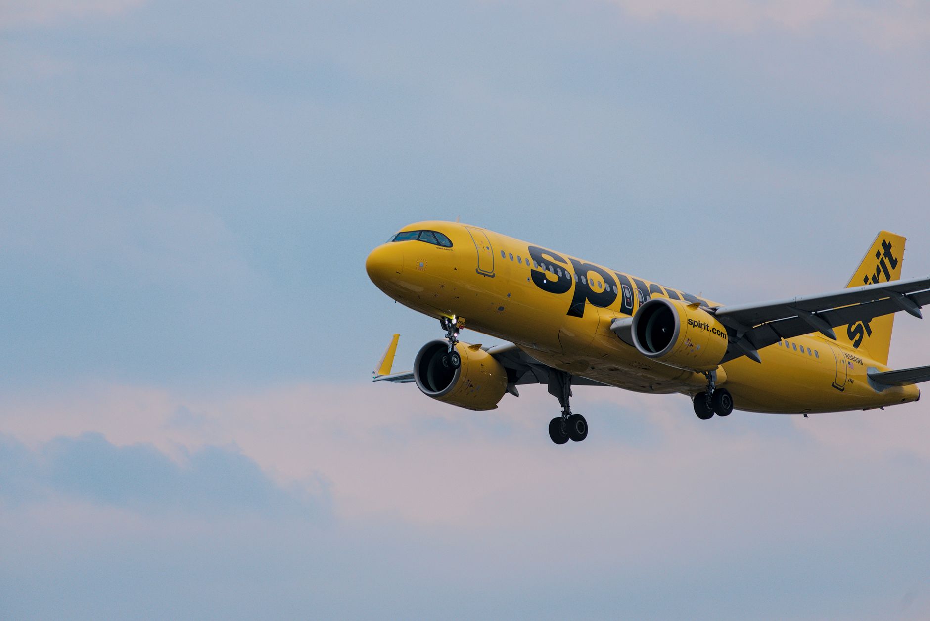 Spirit Airlines Is Gone: What Stranded Flyers Must Do Now