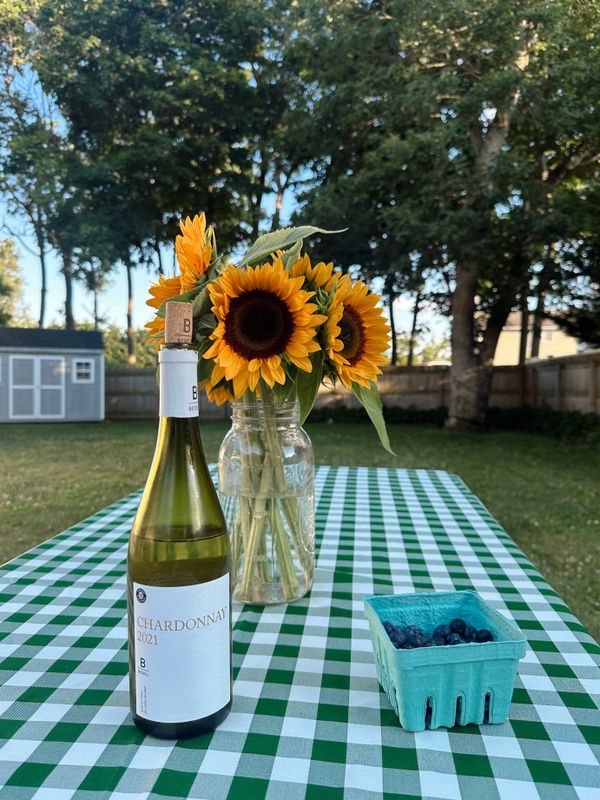 Green picnic tablecloth outdoor table
