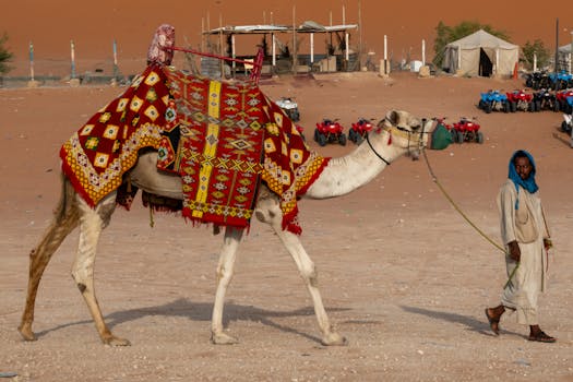 Riyadh, Saudi Arabia photo 18