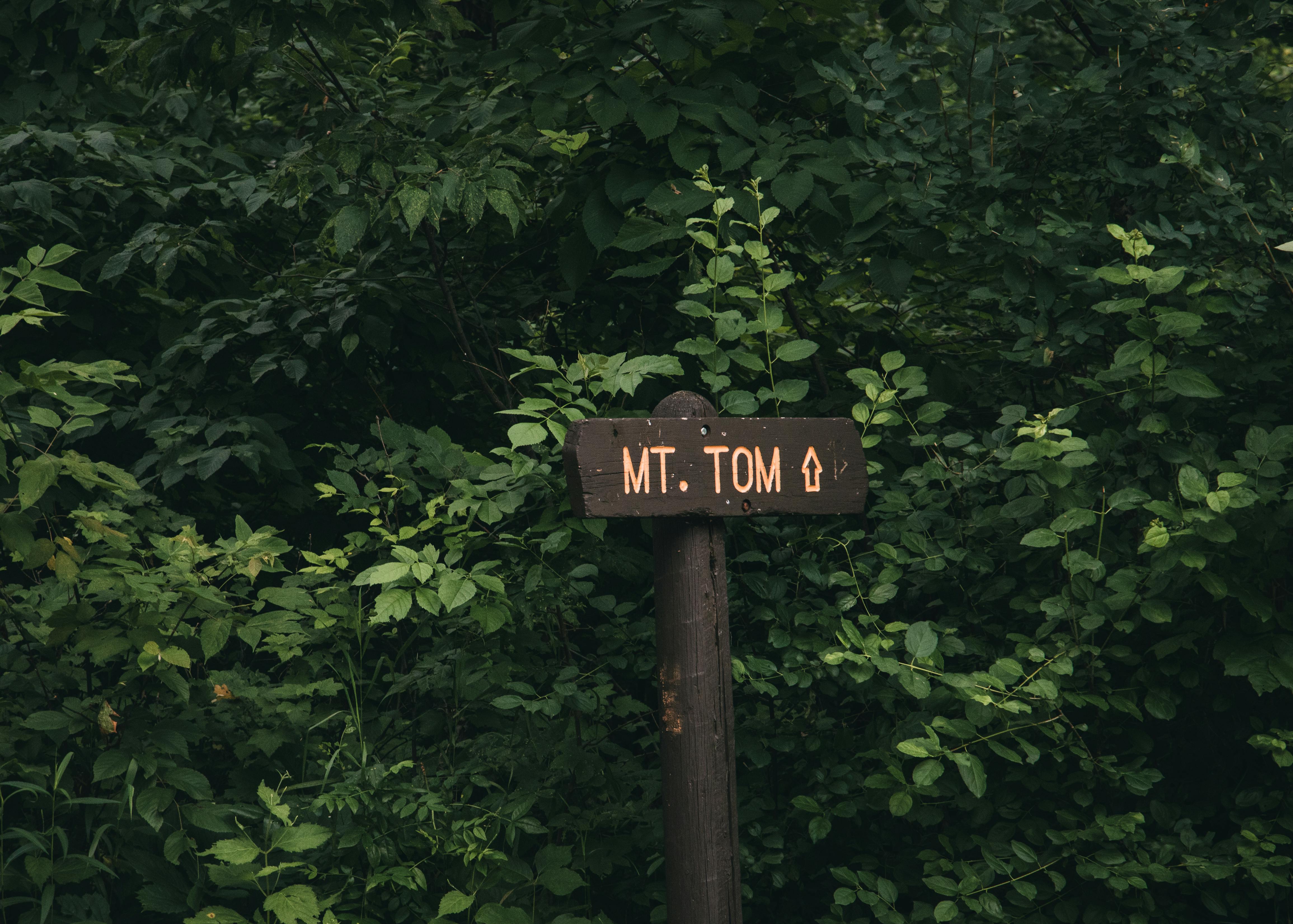 免費 冒險, 勘探, 原本 的 免費圖庫相片 圖庫相片