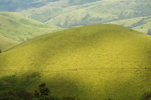 Free stock photo of beautiful landscape, grass, grasslands