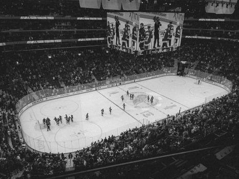 Home Hockey Training Equipment Compared: Shoot Better, Protect Your Gear