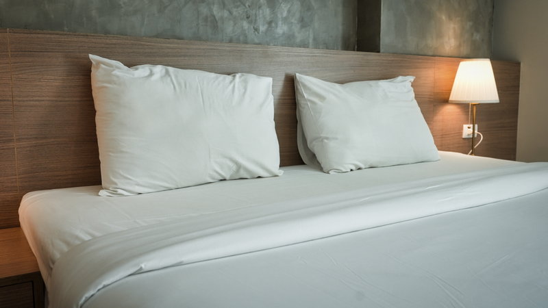 Bed bug control treatment for a holiday rental in Torrox Costa