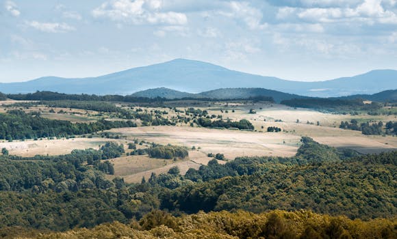 Stunning aerial view of the lush landscape in Wałbrzych, Poland, with rolling hills and dense forests.