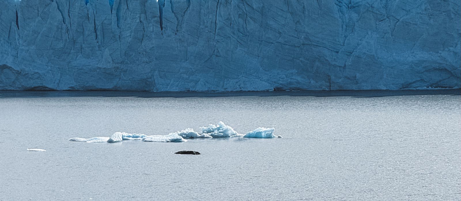 A small passenger vessel dwarfed by a glacier front in southern Patagonia.