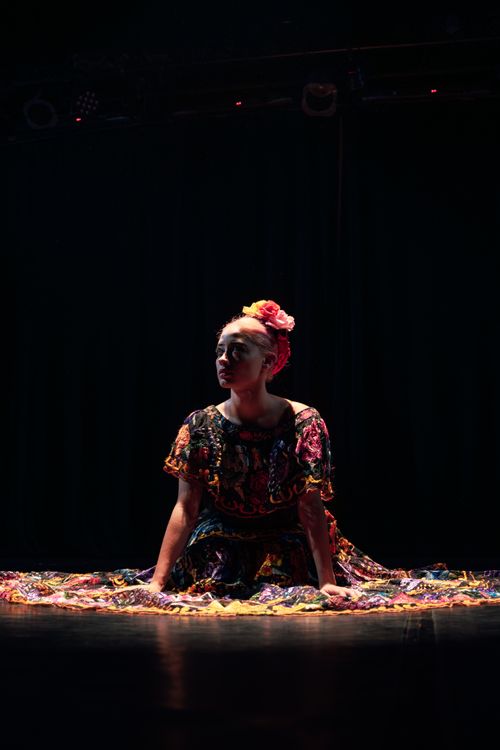 Free A woman in traditional Mexican attire performs a dance on a dimly lit stage. Stock Photo