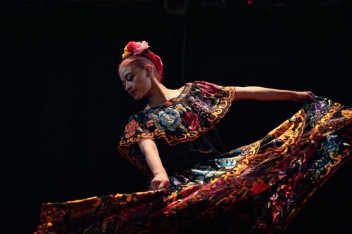 Free Woman performing traditional Mexican dance in vibrant embroidered dress. Stock Photo