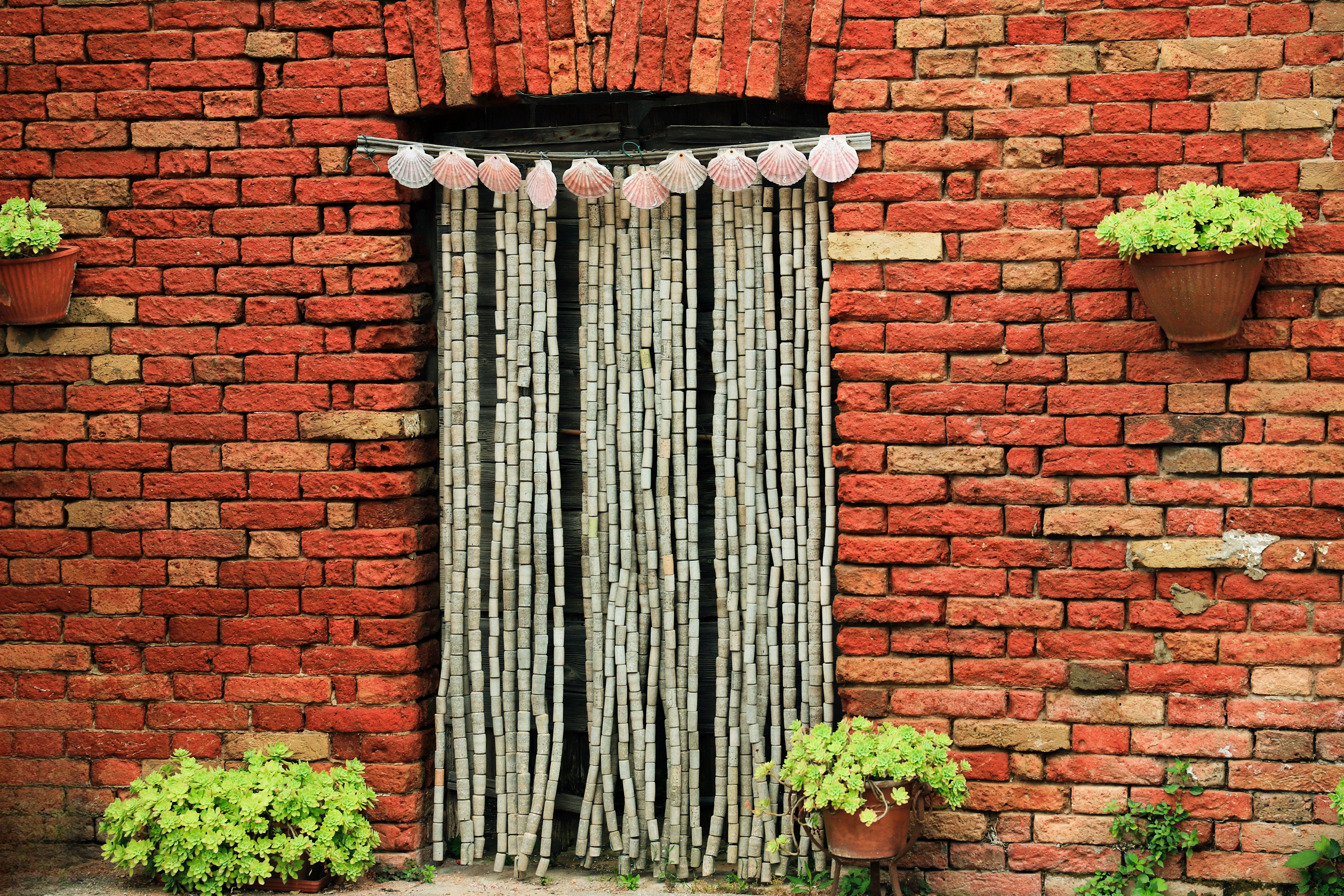 Shells Decoration of Doorway · Free Stock Photo