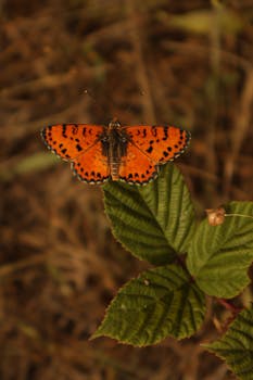 Image by Zeynep Duman