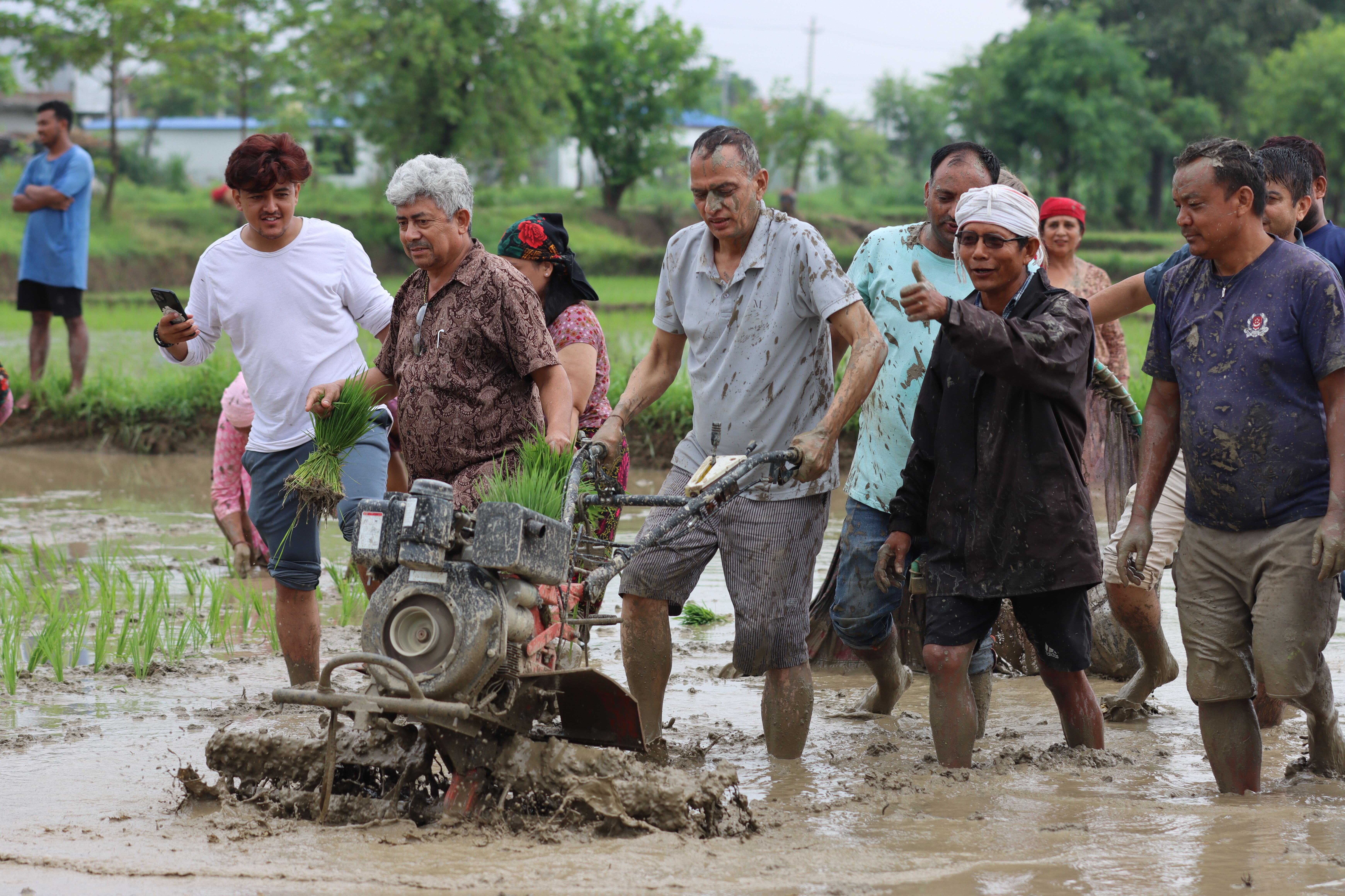 Group of people farming rice in muddy field in Butwal, Nepal.