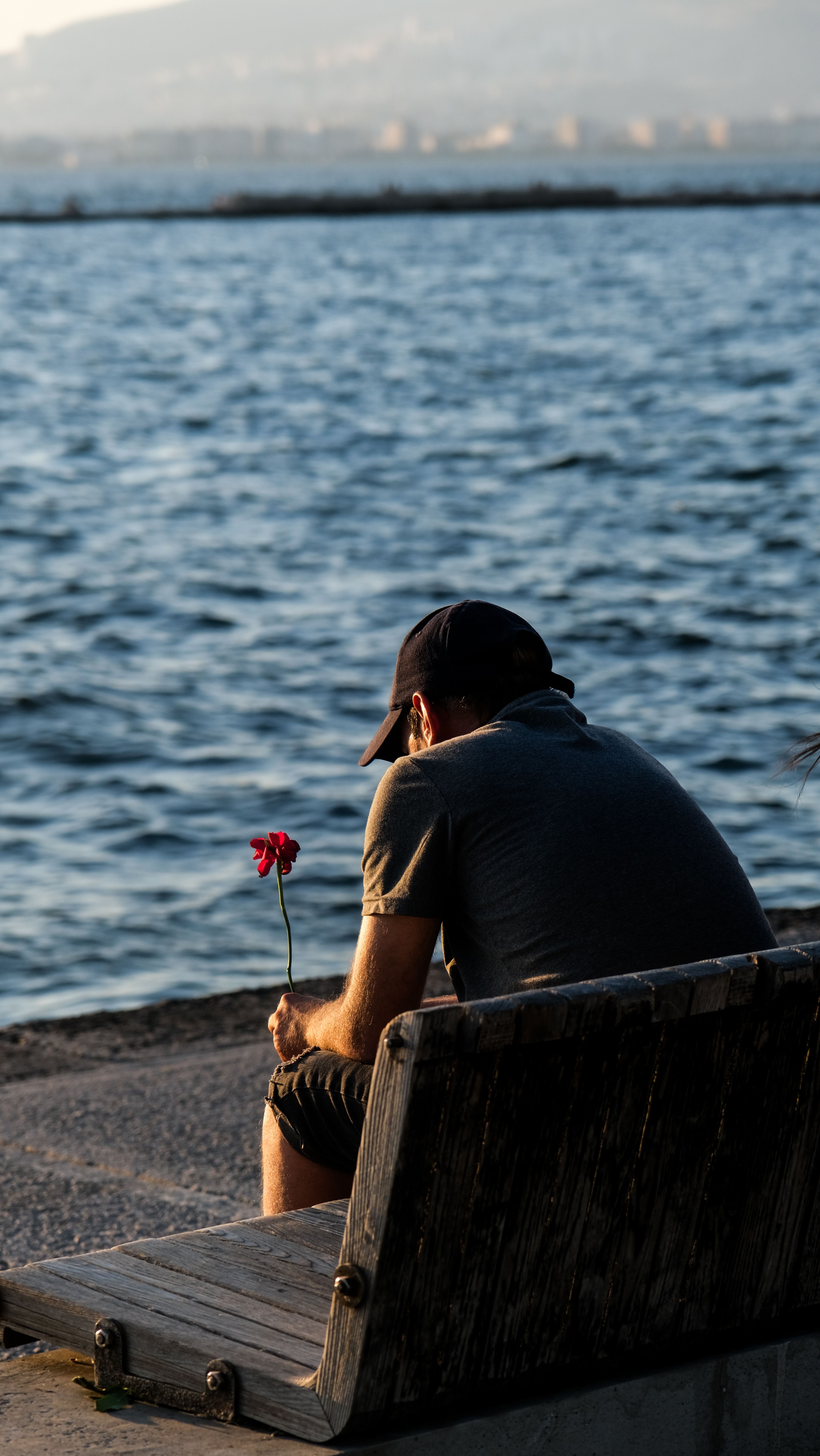 A man sits alone on a bench by the sea holding a flower, reflecting at sunset.