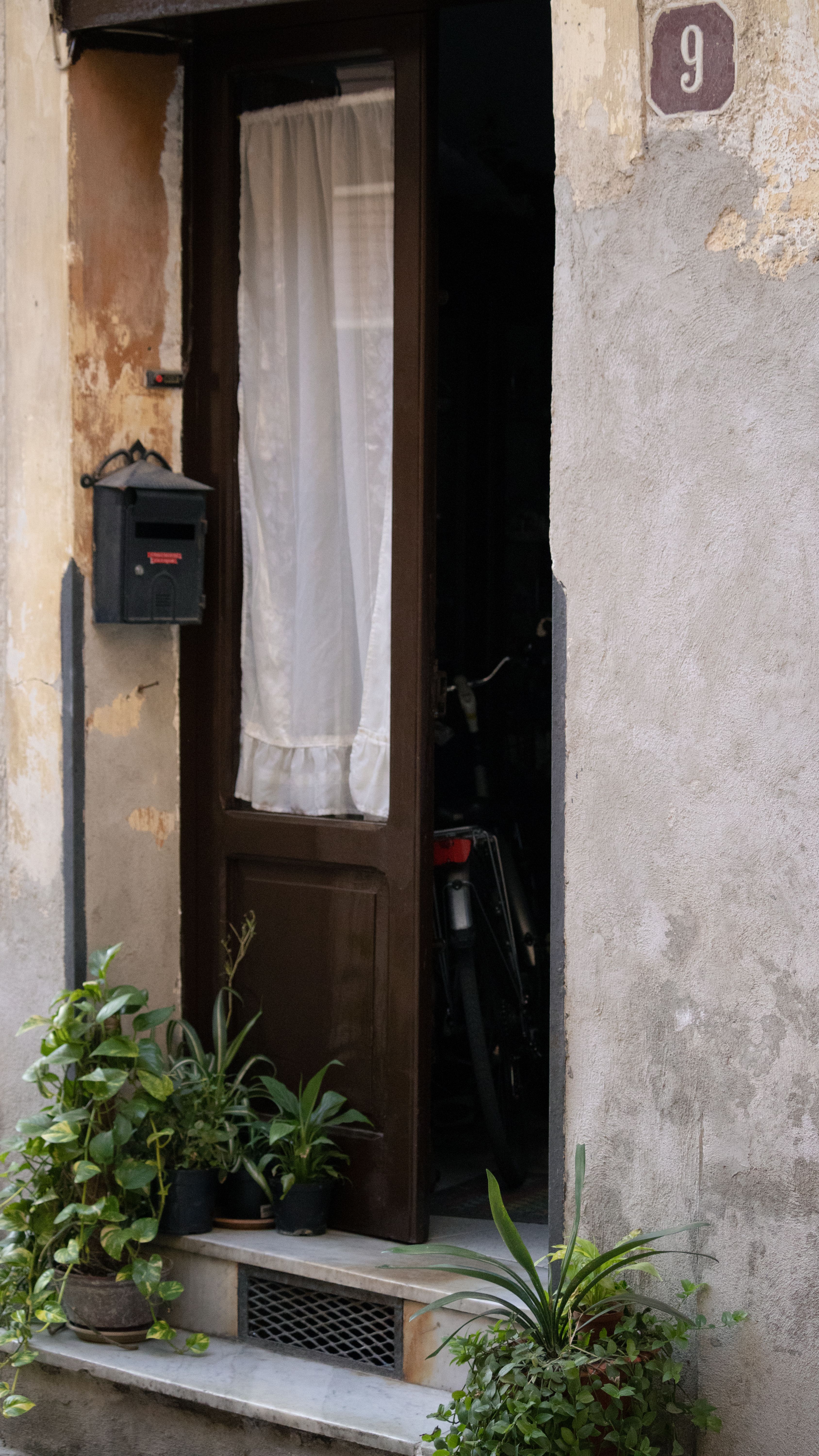 A rustic door with white curtain and plants on a side street, exuding charm and warmth.
