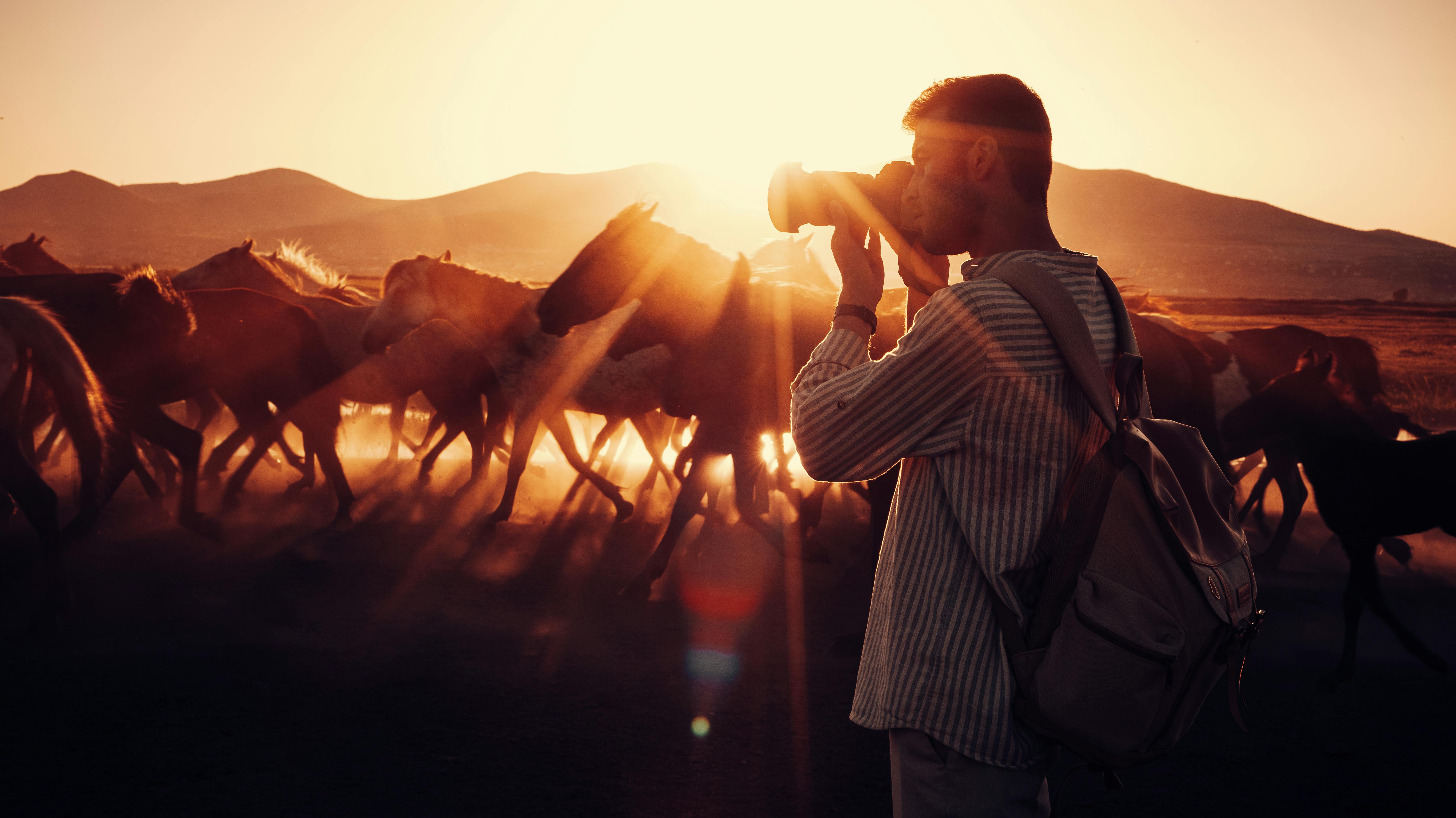 UF adds Western canon-focused courses to general education — Photo by Furkan Elveren on Pexels