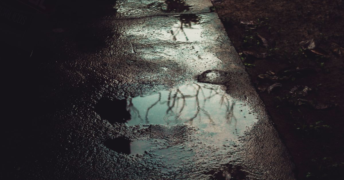 Reflexão escura e artística de galhos de árvore em uma poça de água da chuva no pavimento.