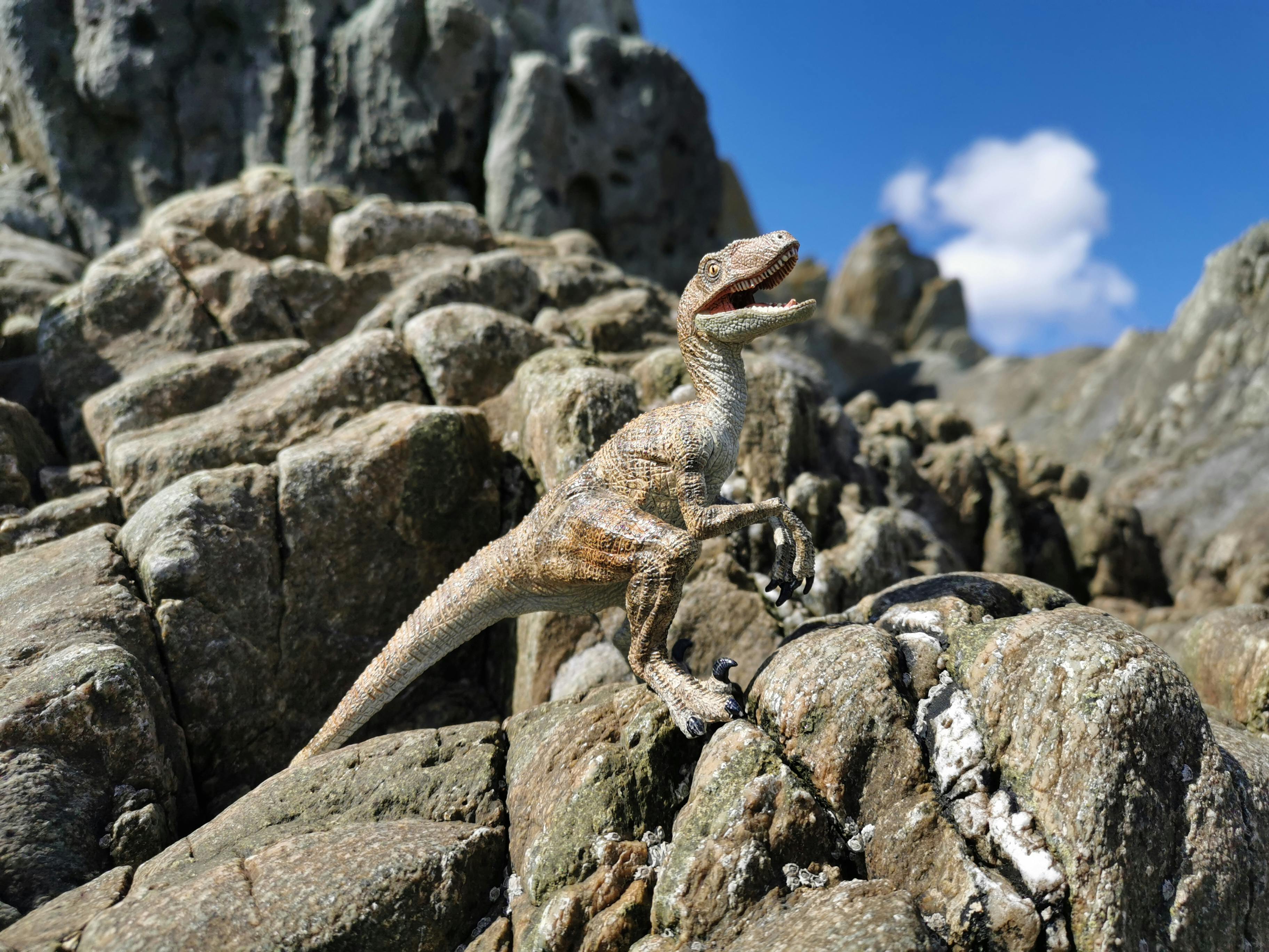 model of dinosaur on barren rocks