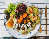 A vibrant vegan brunch plate featuring fresh salad, falafel, avocado toast, and roasted vegetables.