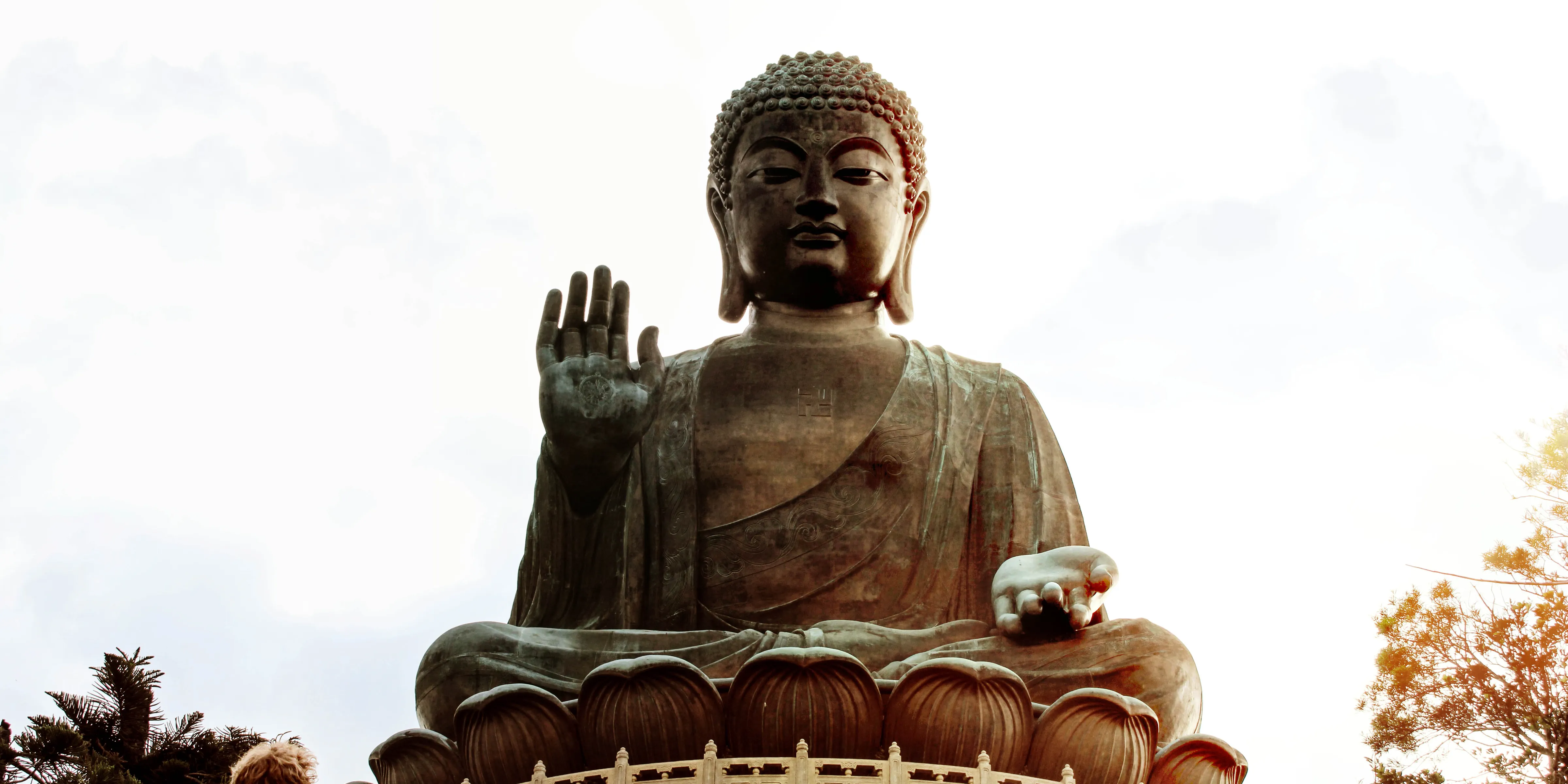 Premium Lantau Day Tour: Cable Car, Big Buddha, Tai O and Lunch — photo 1