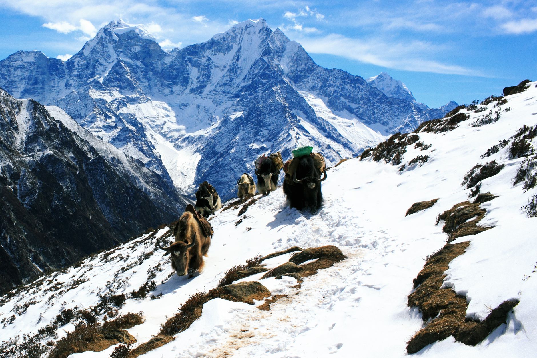 Everest Base Camp, Nepal