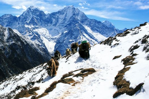 Kathmandu pre/post boutique stay — Everest Base Camp