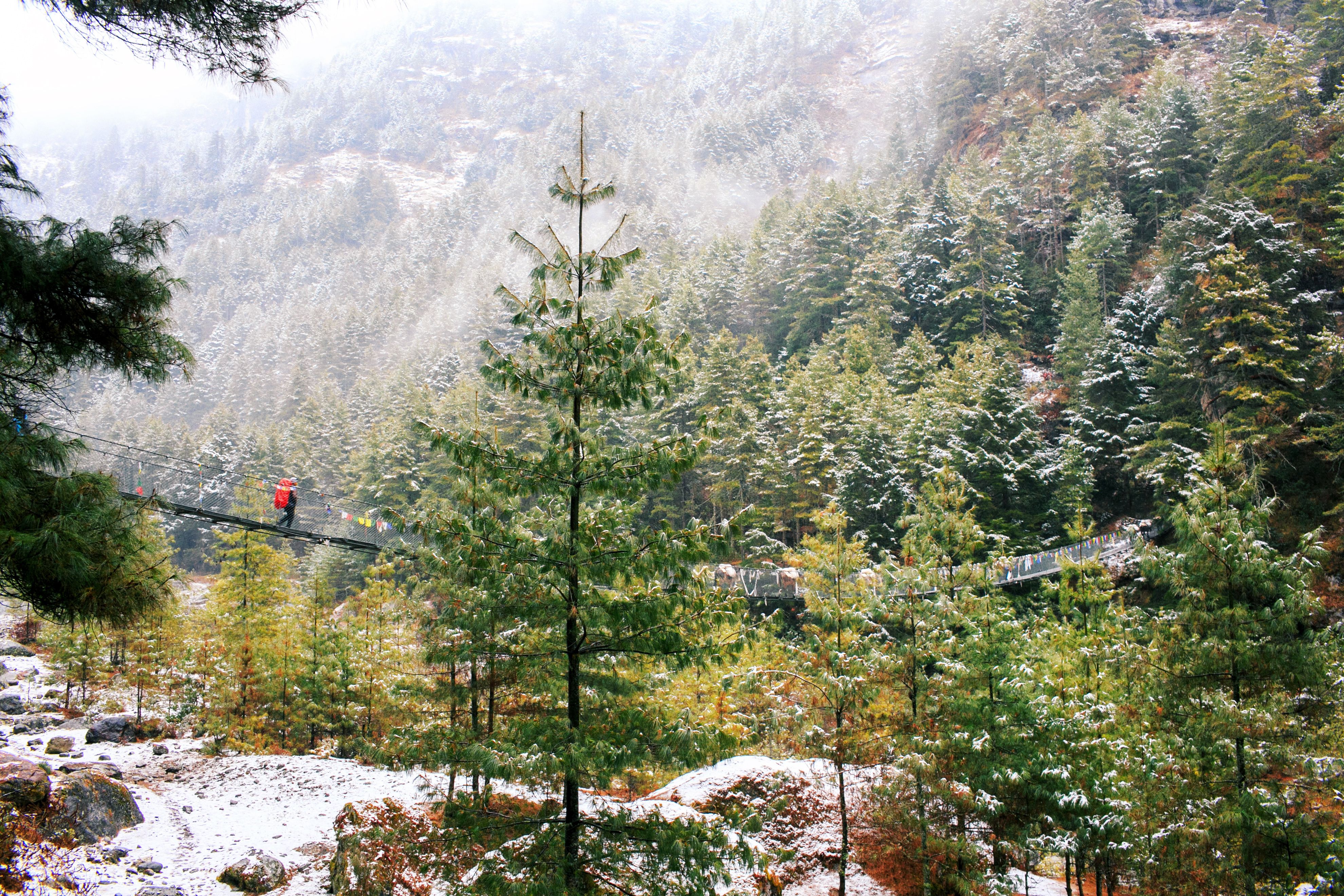 Light snow dusting the pine forests and suspension bridges of the mid-hills