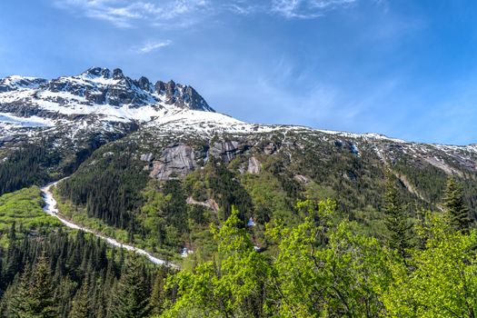 Scenic view of snow-capped mountains with lush green forest under a clear blue sky.