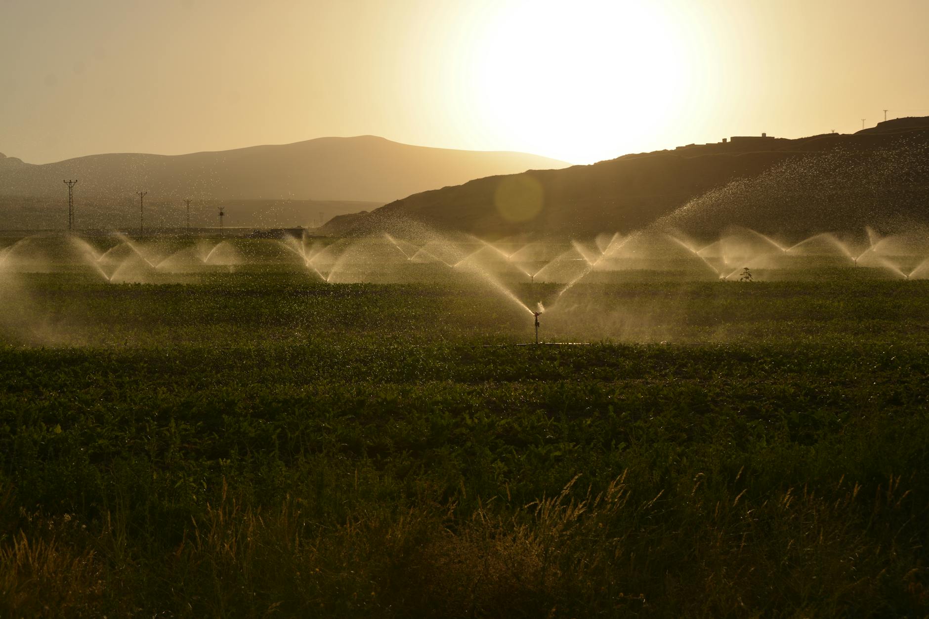 https://www.pexels.com/photo/sprinkling-of-grass-land-during-dawn-2684805/