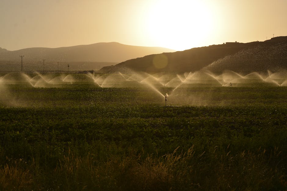 Sprinkler donuts around sprinkler head - irrigation sprinkler protectors