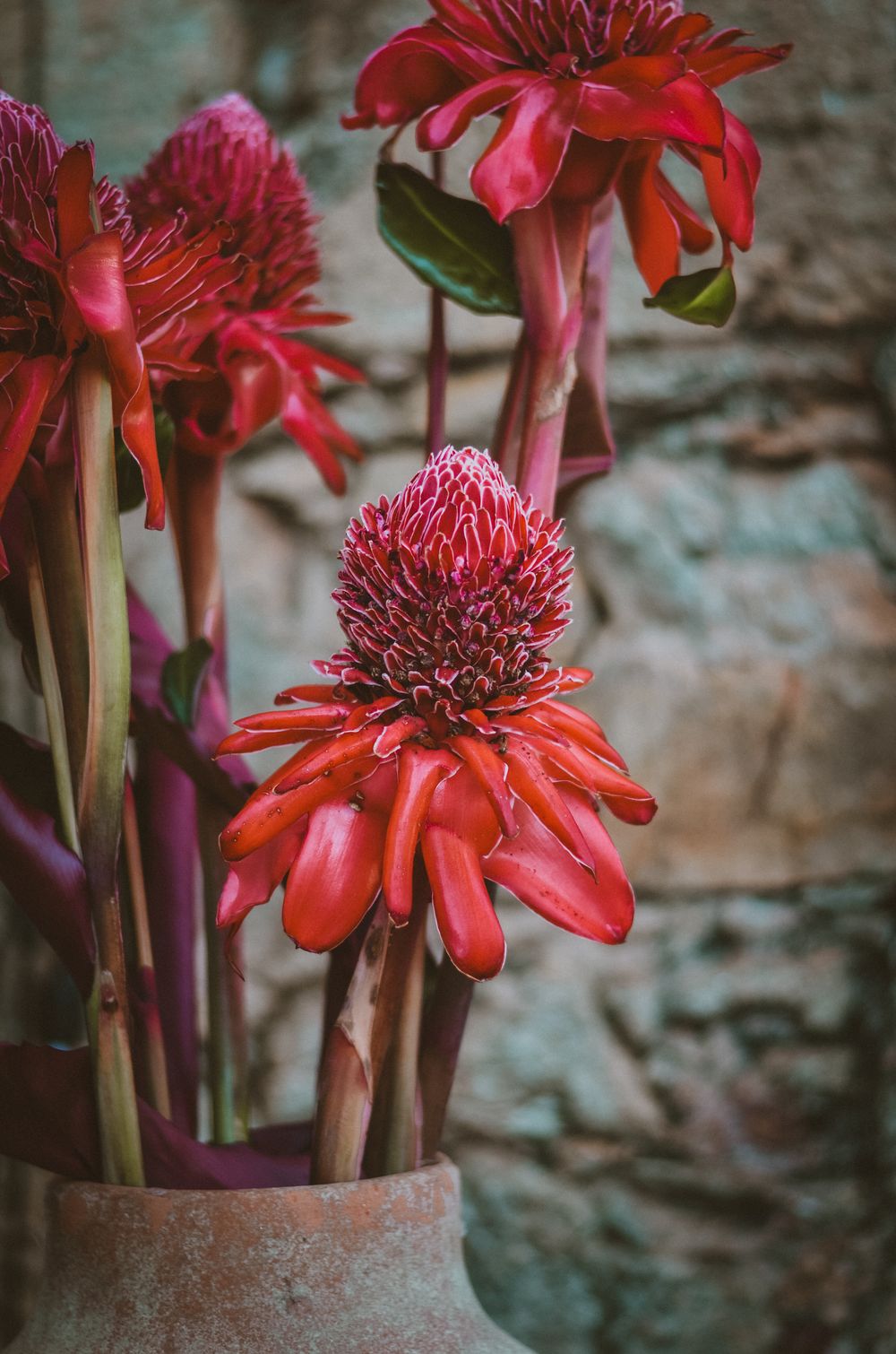 Composition florale Cérémonie Colorée, univers exotique