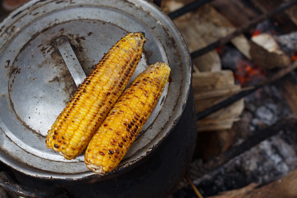 Hearty Leftover Turkey and Vegetable Pot Pie Hearty Leftover Turkey and Vegetable Pot Pie