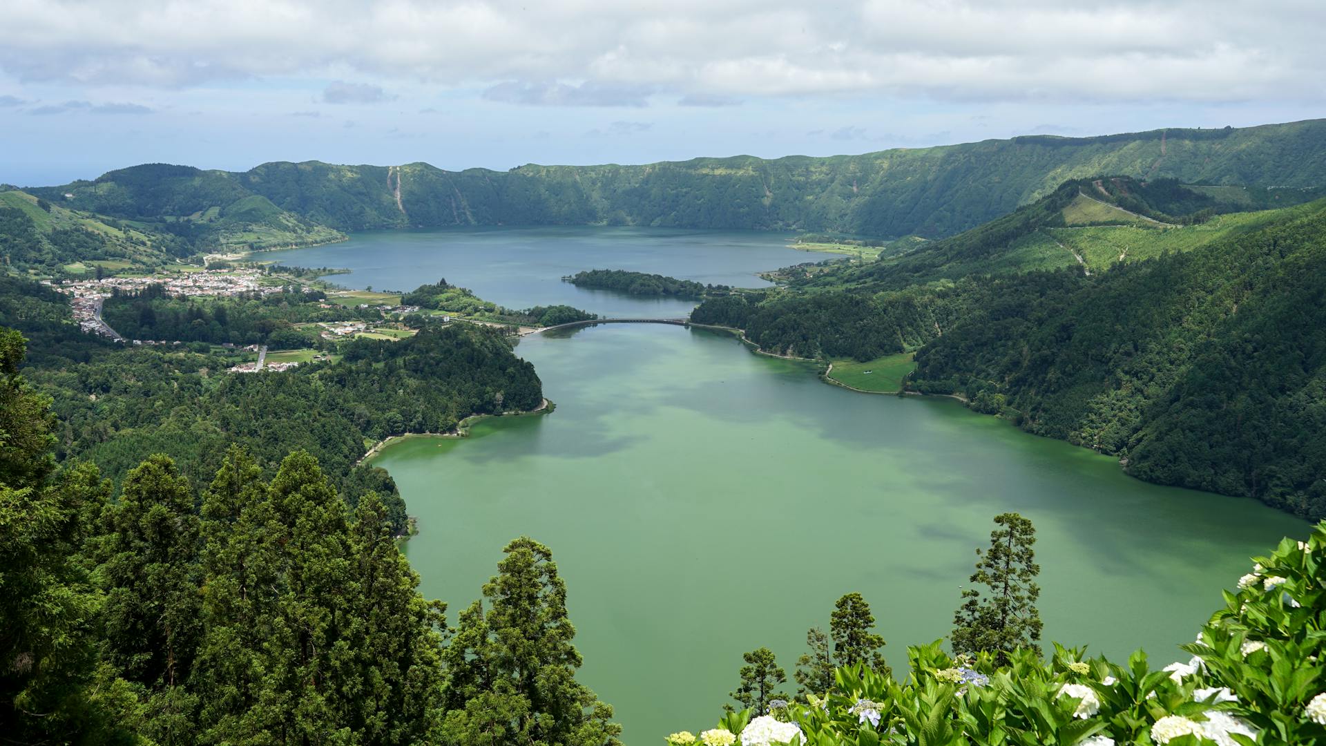 Green Forest around Lake on Azores Islands in Portugal